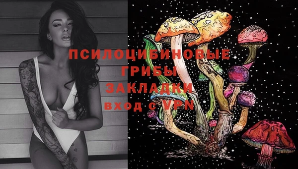 МДПВ Алексин