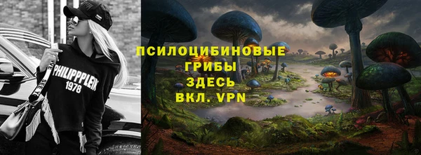 стафф Алексеевка